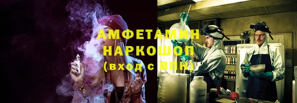 крисы Аркадак