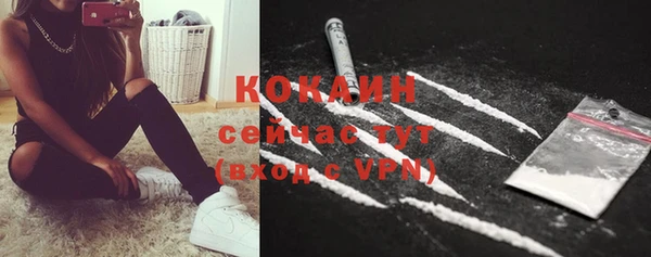 крисы Аркадак