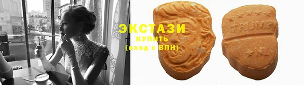 крисы Аркадак